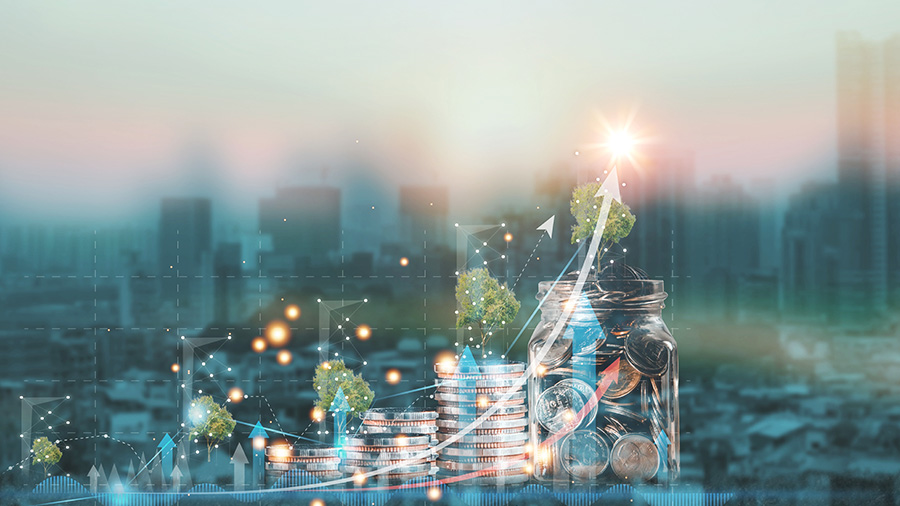 Maximizing Value Creation in Private Equity through Asset Portfolio Optimization